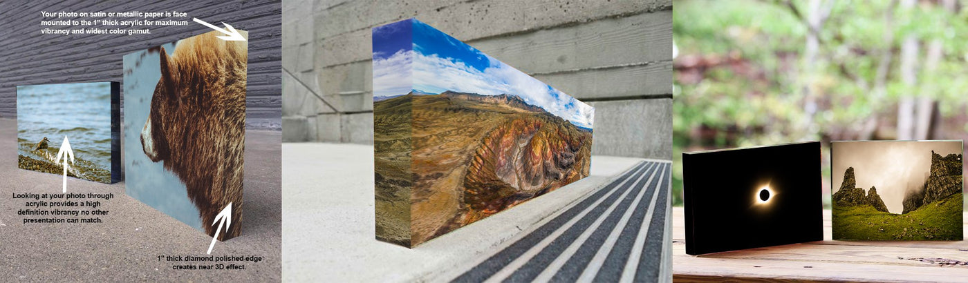 GALLERY QUALITY ART PIECES