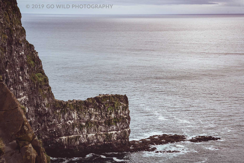 Across the Pond - Go Wild Photography [description]  [price]