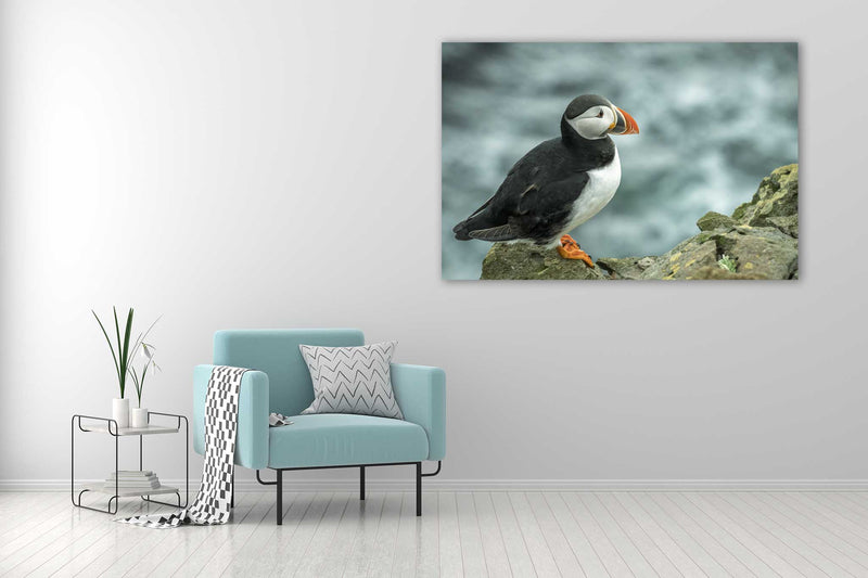 Atlantic Puffin - Go Wild Photography [description]  [price]
