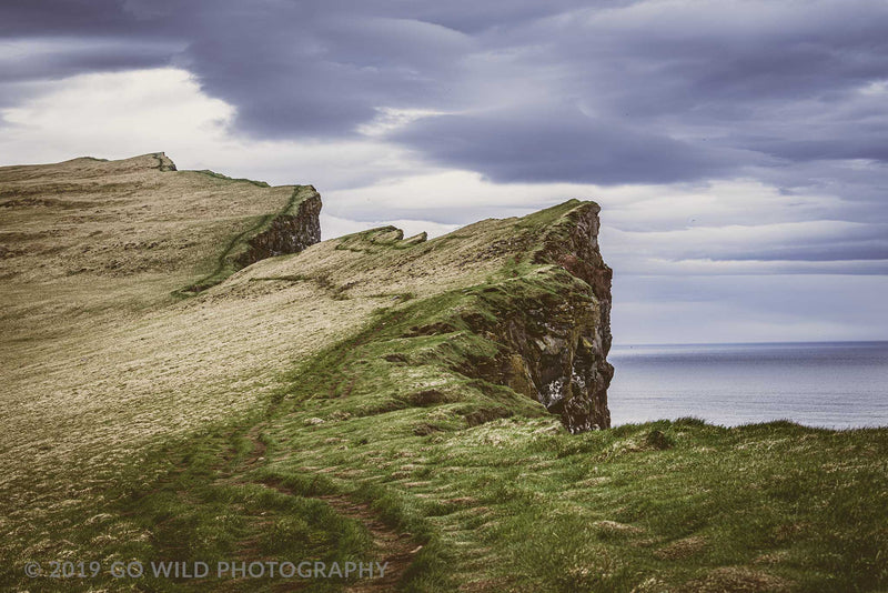 Bird Steps - Go Wild Photography [description]  [price]