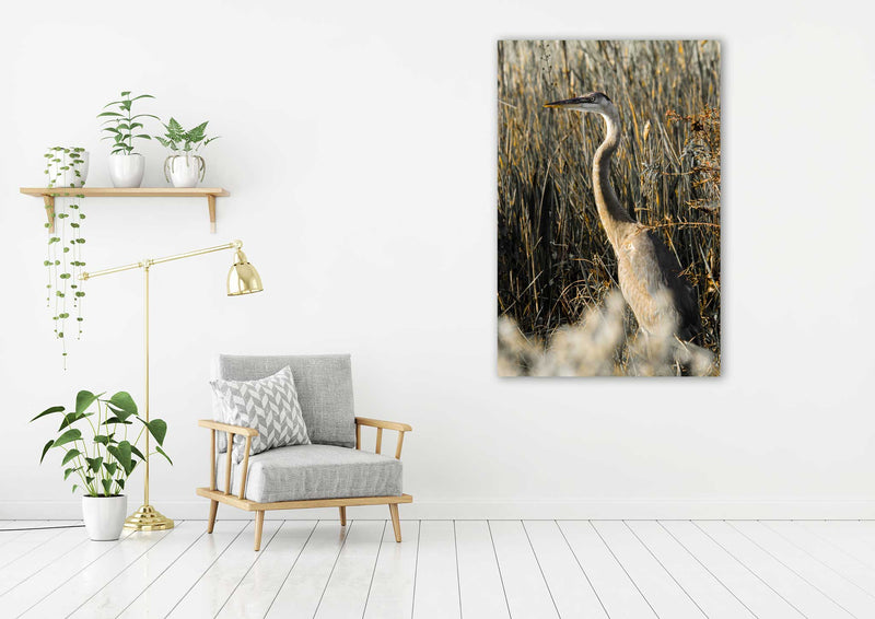 Heron - Go Wild Photography [description]  [price]