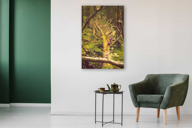 Life Finds a Way - Go Wild Photography [description]  [price]