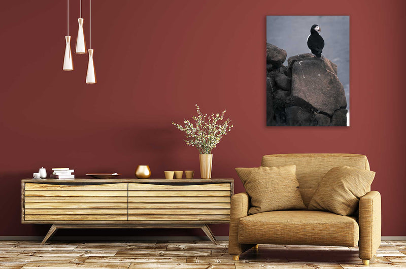 Lone Puffin - Go Wild Photography [description]  [price]