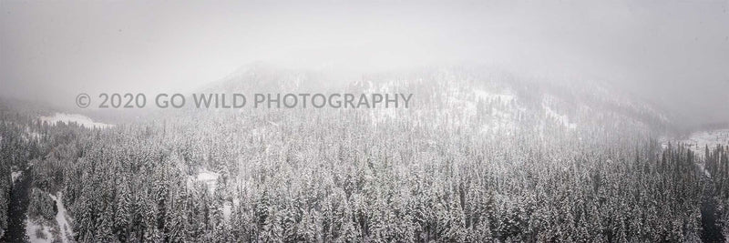 Into the Storm - Go Wild Photography [description]  [price]