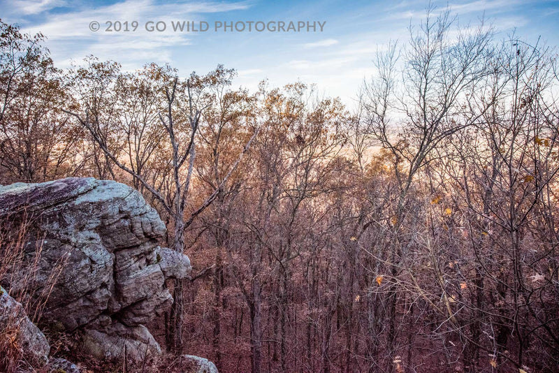 Old Stone Face - Go Wild Photography [description]  [price]