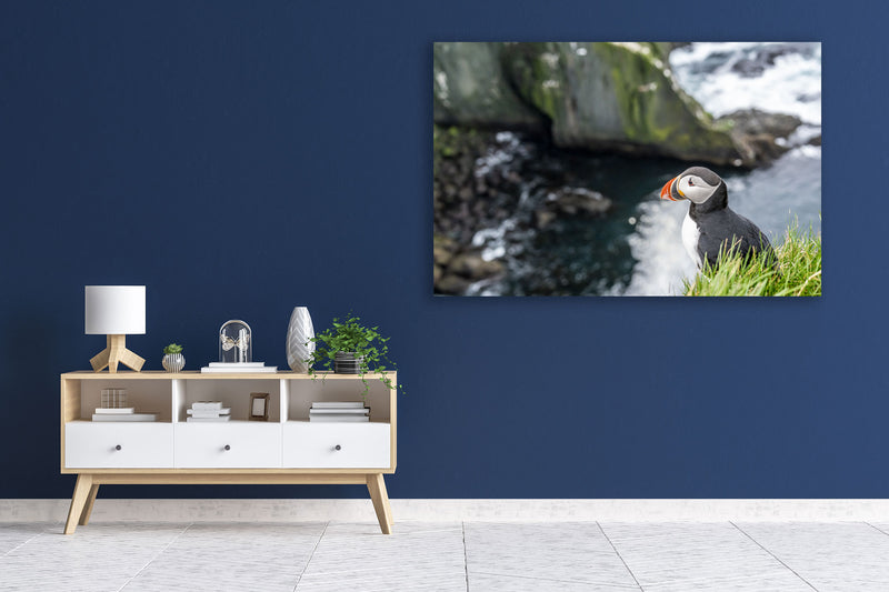 Puffin Cliffs - Go Wild Photography [description]  [price]