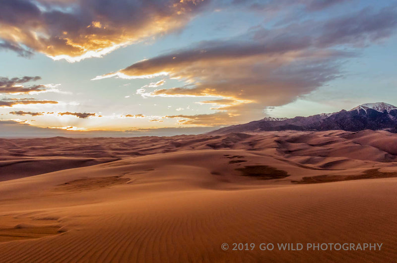 Sea of Sand - Go Wild Photography [description]  [price]