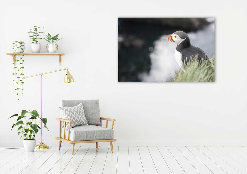 Stoic Puffin - Go Wild Photography [description]  [price]