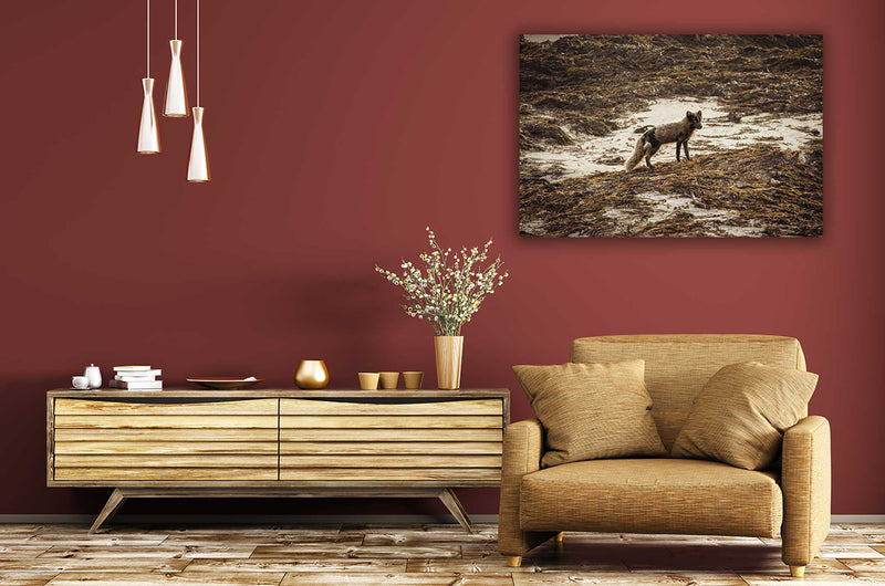 Vulpes - Go Wild Photography [description]  [price]