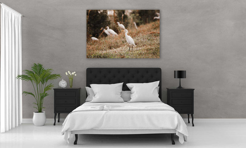 Winter Egret - Go Wild Photography [description]  [price]