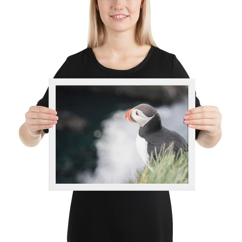 Stoic Puffin - Go Wild Photography [description]  [price]