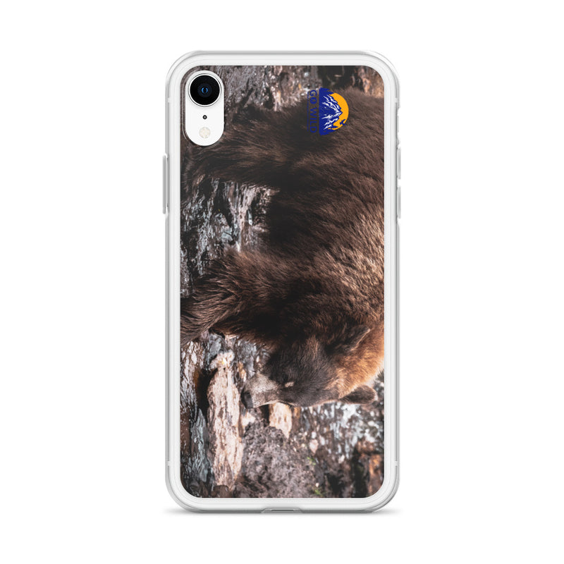 Morning Stroll iPhone Case - Go Wild Photography [description]  [price]