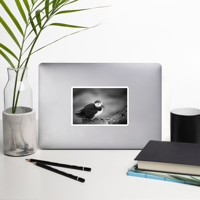 Atlantic Puffin Black and White Bubble-free stickers - Go Wild Photography [description]  [price]