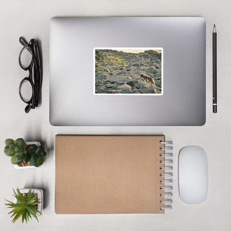Arctic Fox Bubble-free stickers - Go Wild Photography [description]  [price]