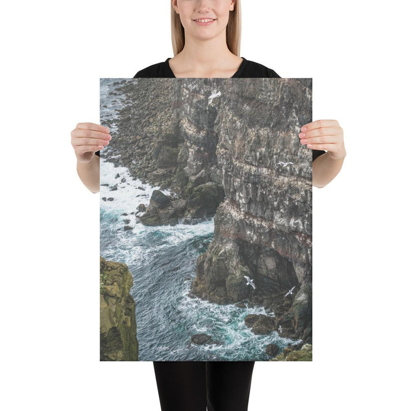 Gull Gulley - Go Wild Photography [description]  [price]