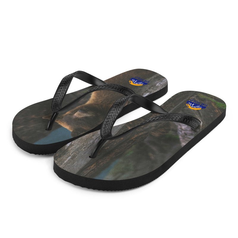 Bear Hug Flip-Flops - Go Wild Photography [description]  [price]