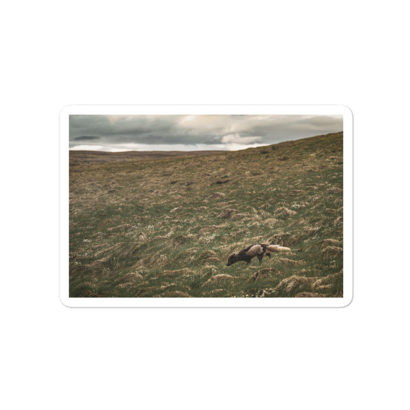 Into the Wind Bubble-free stickers - Go Wild Photography [description]  [price]