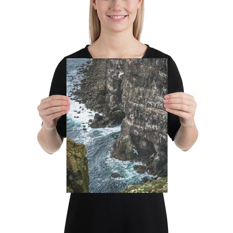 Gull Gulley - Go Wild Photography [description]  [price]