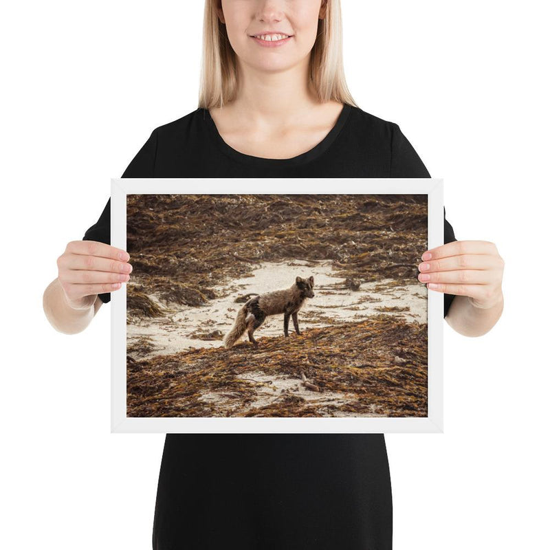 Vulpes - Go Wild Photography [description]  [price]