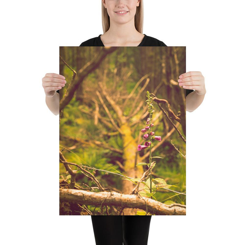 Life Finds a Way - Go Wild Photography [description]  [price]