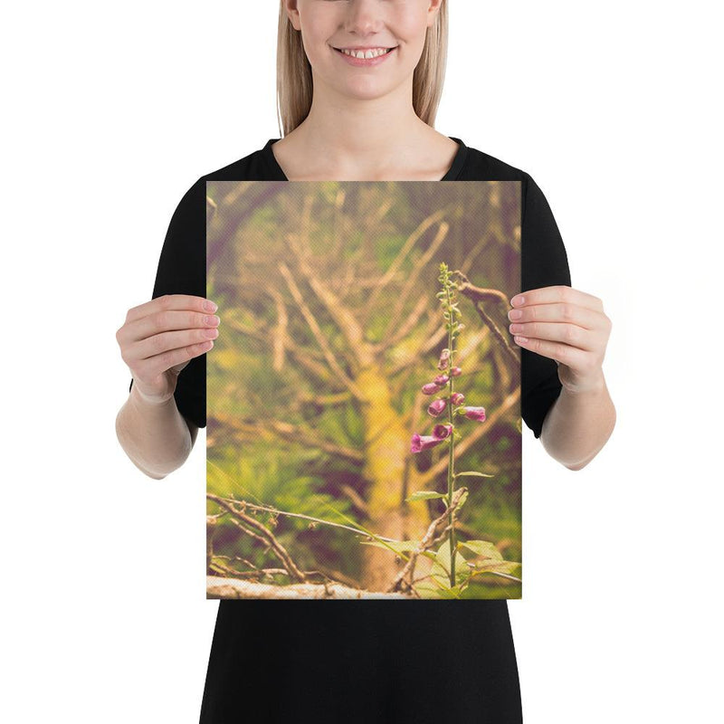 Life Finds a Way - Go Wild Photography [description]  [price]