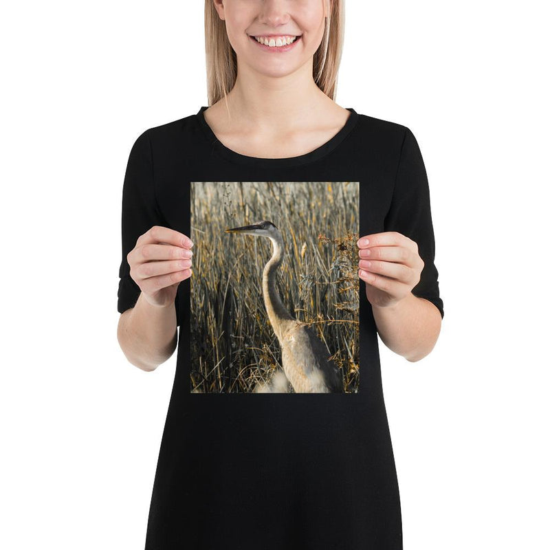 Heron - Go Wild Photography [description]  [price]