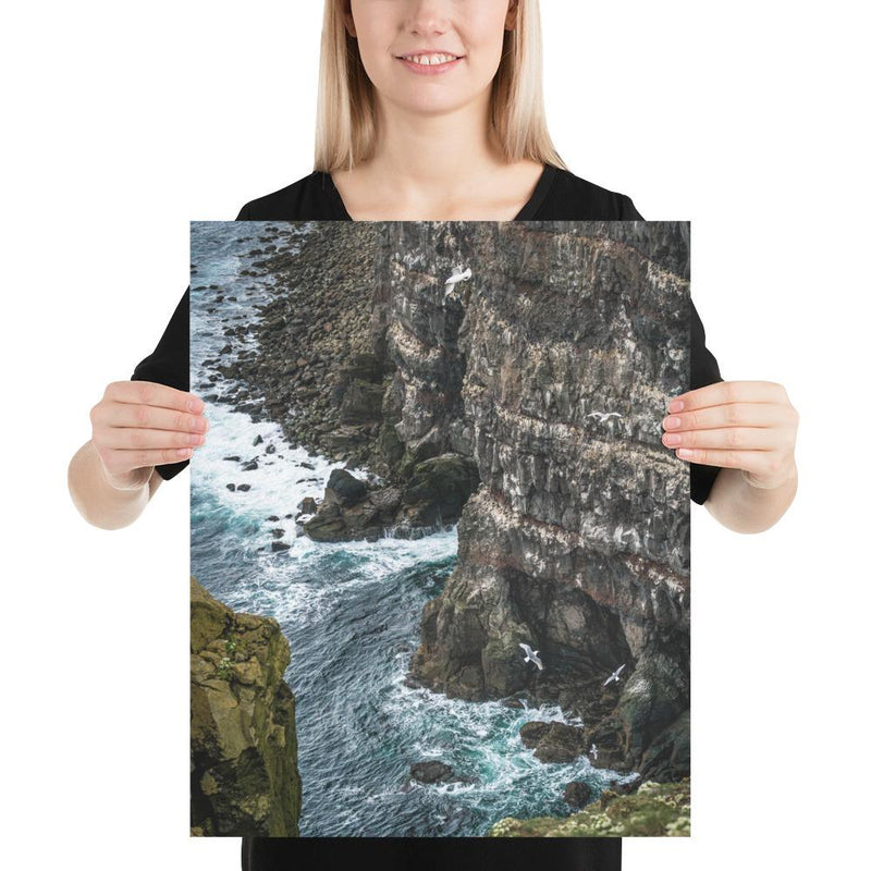 Gull Gulley - Go Wild Photography [description]  [price]