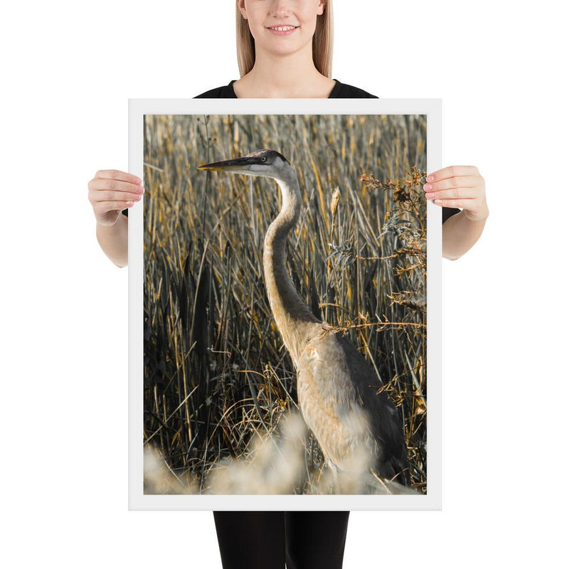 Heron - Go Wild Photography [description]  [price]