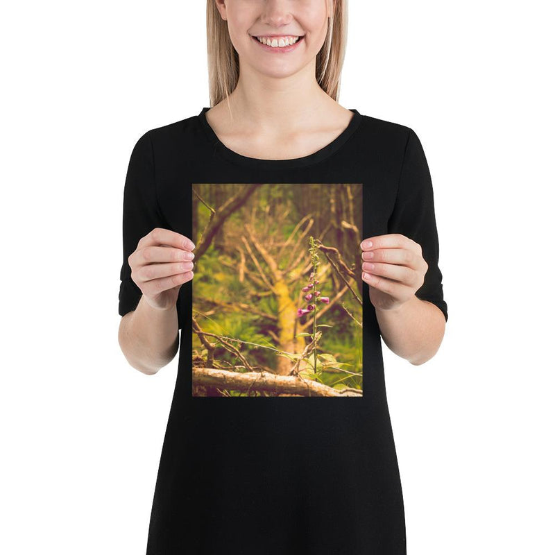 Life Finds a Way - Go Wild Photography [description]  [price]