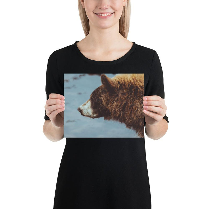 Pretty Girl - Go Wild Photography [description]  [price]