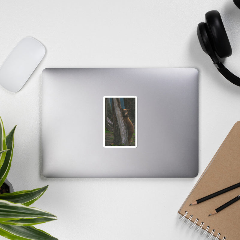 Bear Hug Bubble-free stickers - Go Wild Photography [description]  [price]