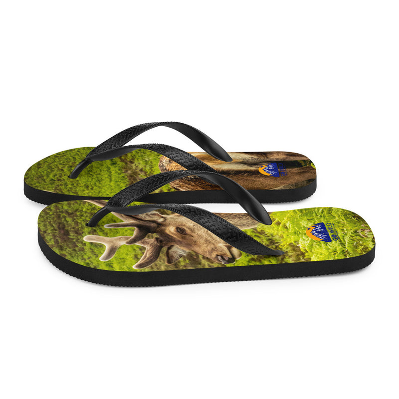 Prince of the Forest Flip-Flops - Go Wild Photography [description]  [price]
