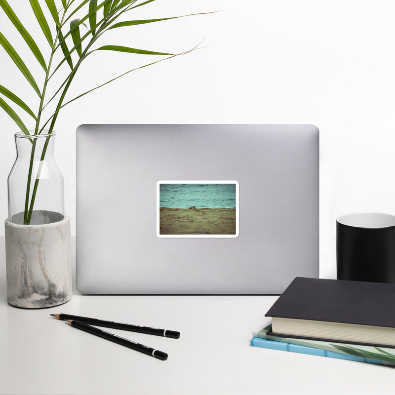 Gorged Bubble-free stickers - Go Wild Photography [description]  [price]