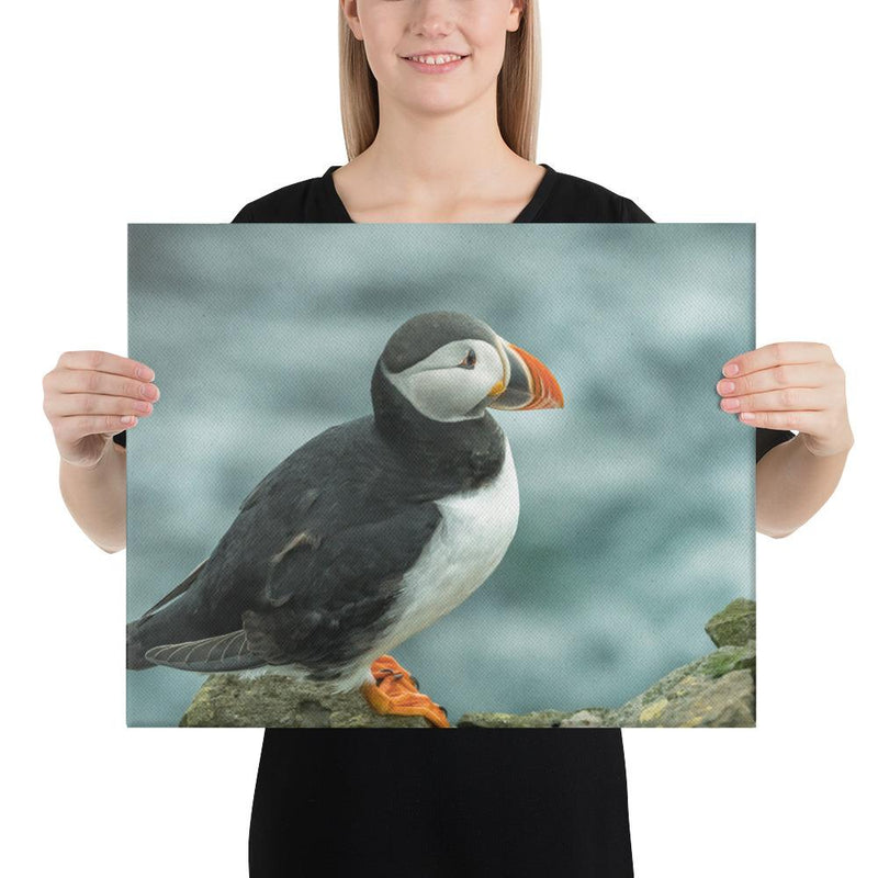 Atlantic Puffin - Go Wild Photography [description]  [price]