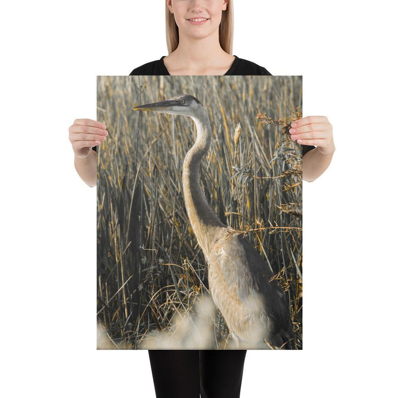 Heron - Go Wild Photography [description]  [price]