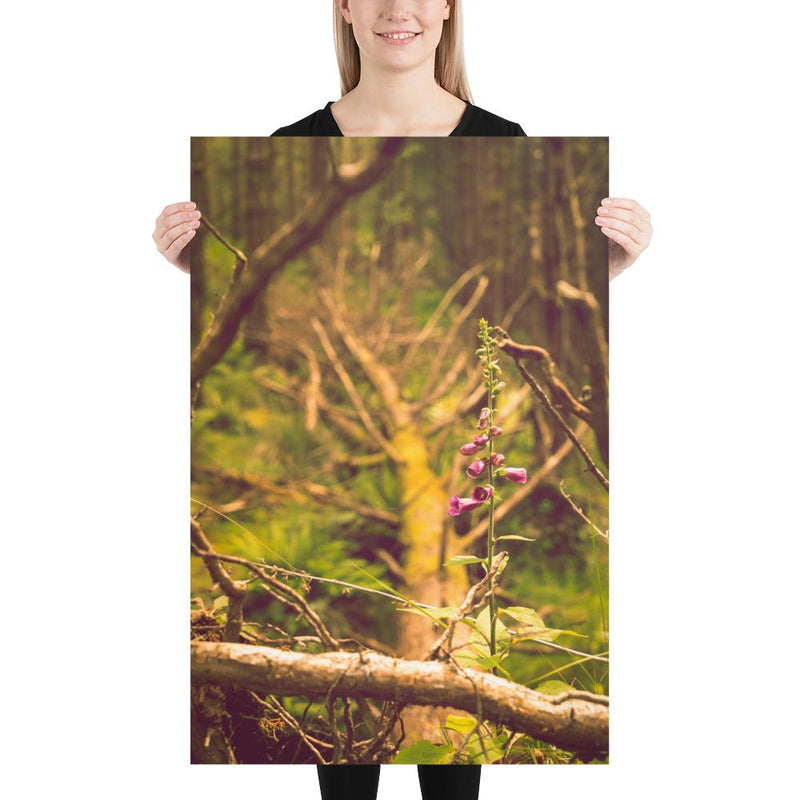 Life Finds a Way - Go Wild Photography [description]  [price]