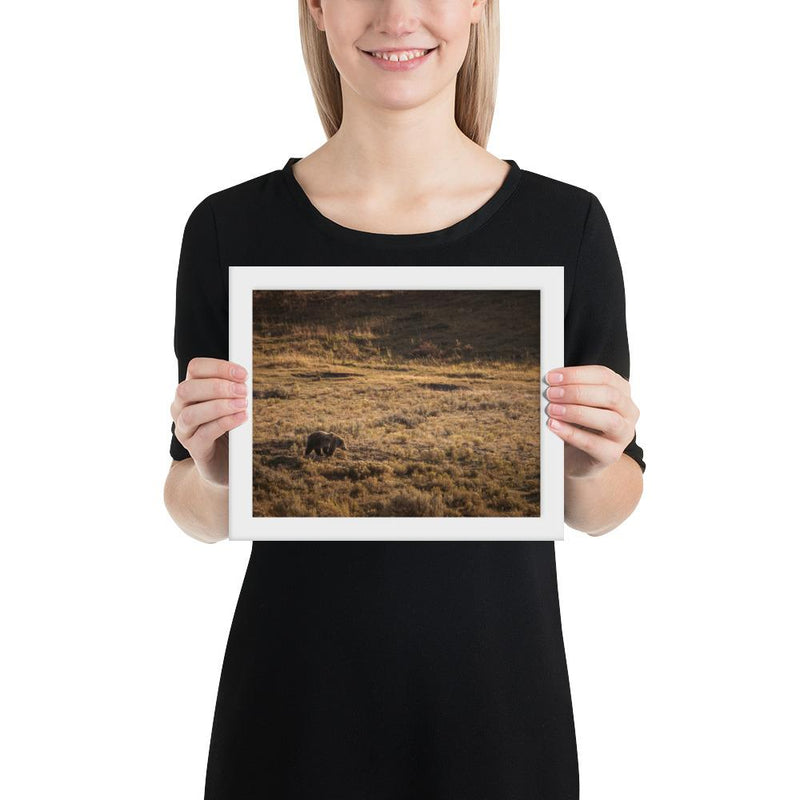 Grizzly - Go Wild Photography [description]  [price]