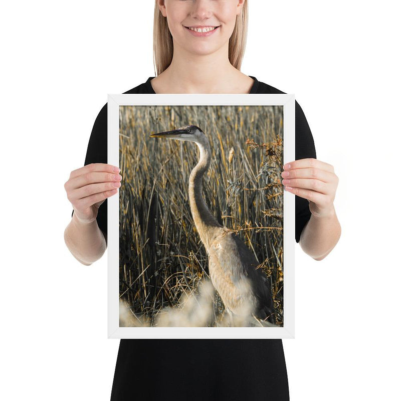 Heron - Go Wild Photography [description]  [price]