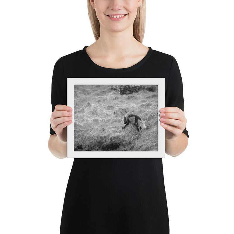 Black and Arctic Fox - Go Wild Photography [description]  [price]