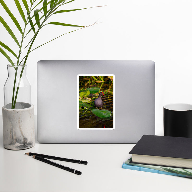 Common Moorhen Bubble-free stickers - Go Wild Photography [description]  [price]