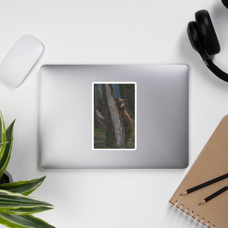 Bear Hug Bubble-free stickers - Go Wild Photography [description]  [price]