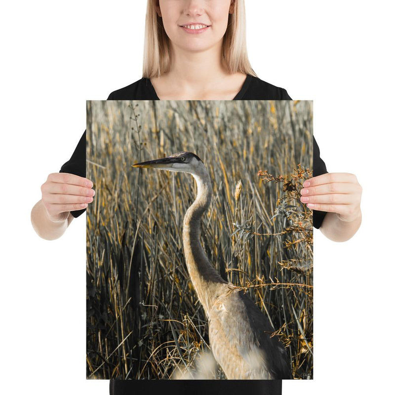 Heron - Go Wild Photography [description]  [price]