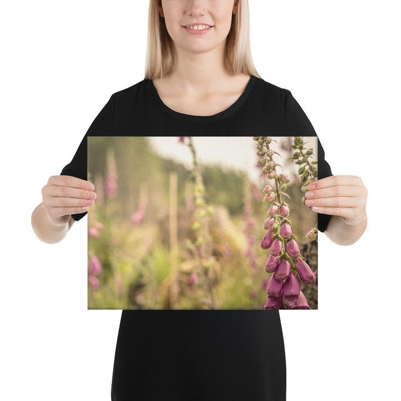 Fox Gloves - Go Wild Photography [description]  [price]