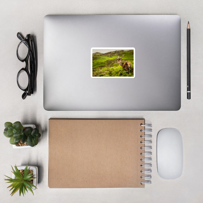 Prince of the Forest Bubble-free stickers - Go Wild Photography [description]  [price]