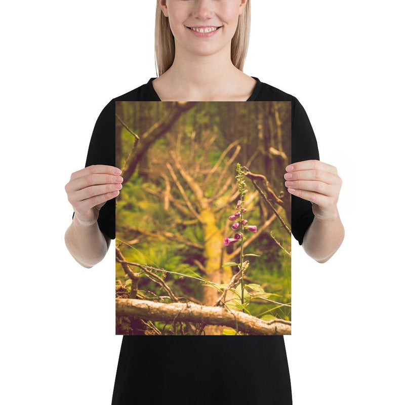 Life Finds a Way - Go Wild Photography [description]  [price]