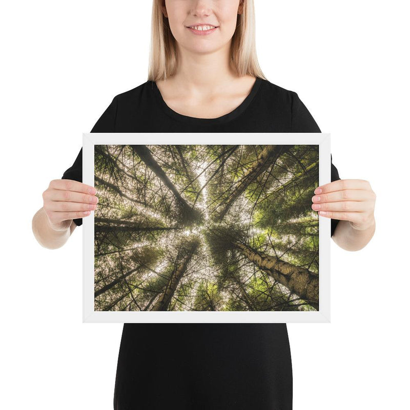 The Most Remote Woods in Scotland - Go Wild Photography [description]  [price]