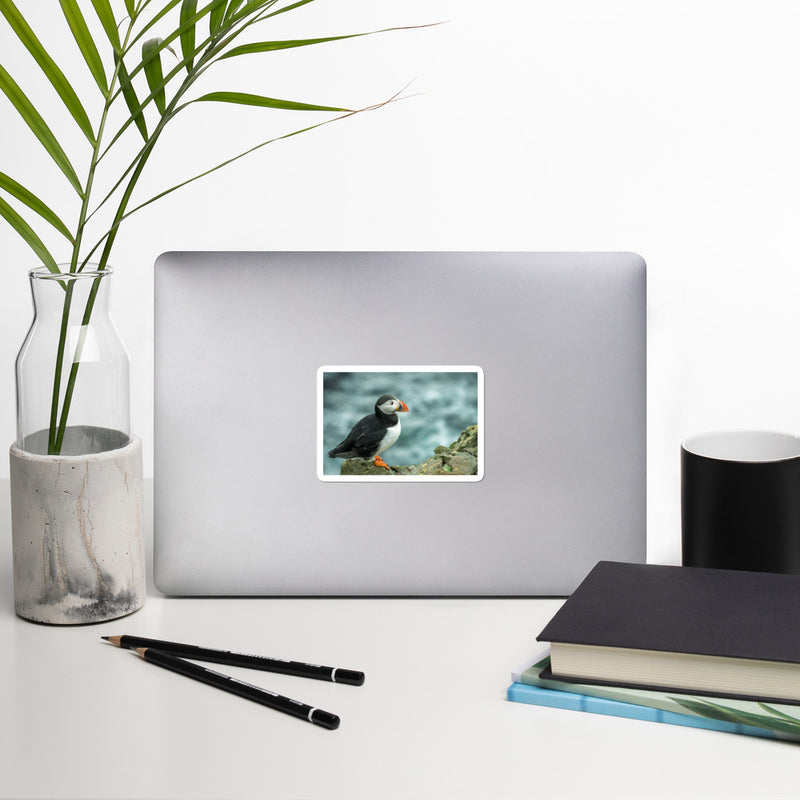 Atlantic Puffin Bubble-free stickers - Go Wild Photography [description]  [price]