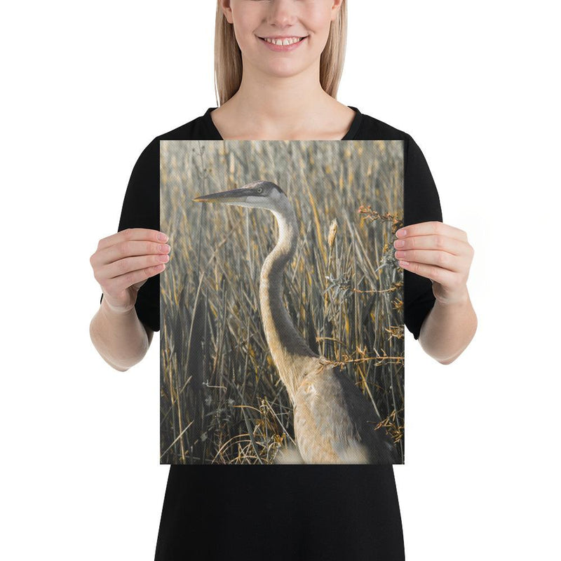 Heron - Go Wild Photography [description]  [price]
