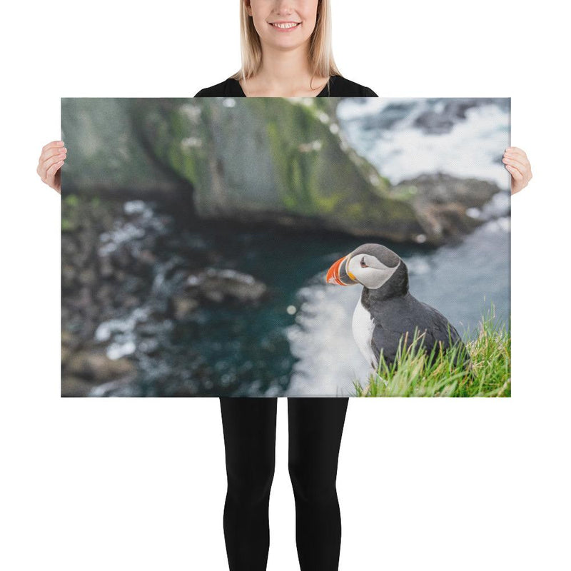 Puffin Cliffs - Go Wild Photography [description]  [price]