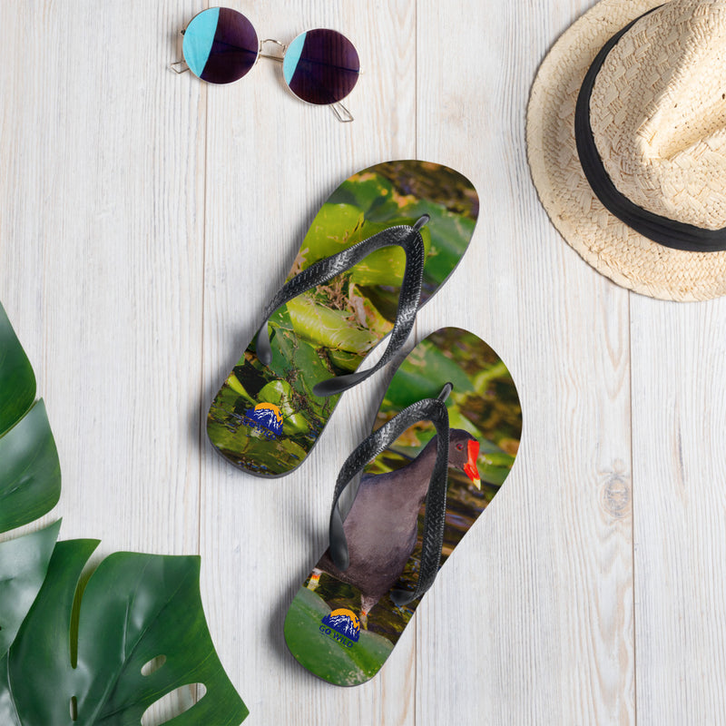 Common Moorhen Flip-Flops - Go Wild Photography [description]  [price]